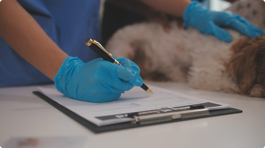 врач заполняет карточку пациента